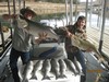 (12/26/2016) - Nice Striped Bass